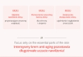 product_895070_image_124797.jpg