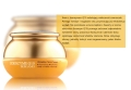 product_894170_image_124059.jpg