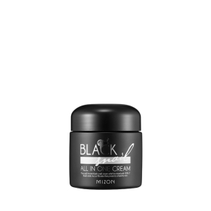 Krem do twarzy ze śluzem czarnego ślimaka MIZON Black Snail All in One Cream, 75 ml